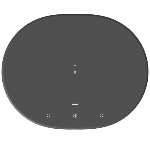 Sonos MOVE Wireless Portable Smart Speaker BLACK Canada : EFLC.ca