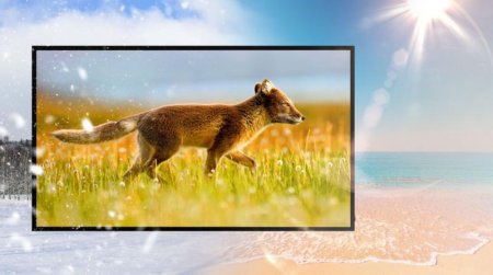 Description image for Seura SE-UB4-65 65-Inch Full Sun Series 4K Ultra HD Outdoor TV