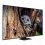 Samsung QN65Q80DAFXZC 65-Inch QLED 4K Q80D Series Quantum HDR+ TV [ ]